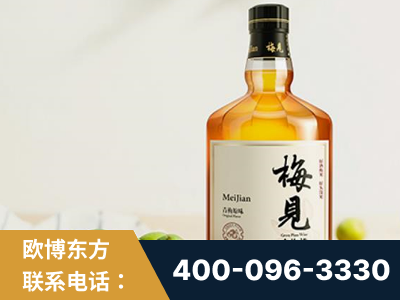 酒泉-梅见青梅酒
